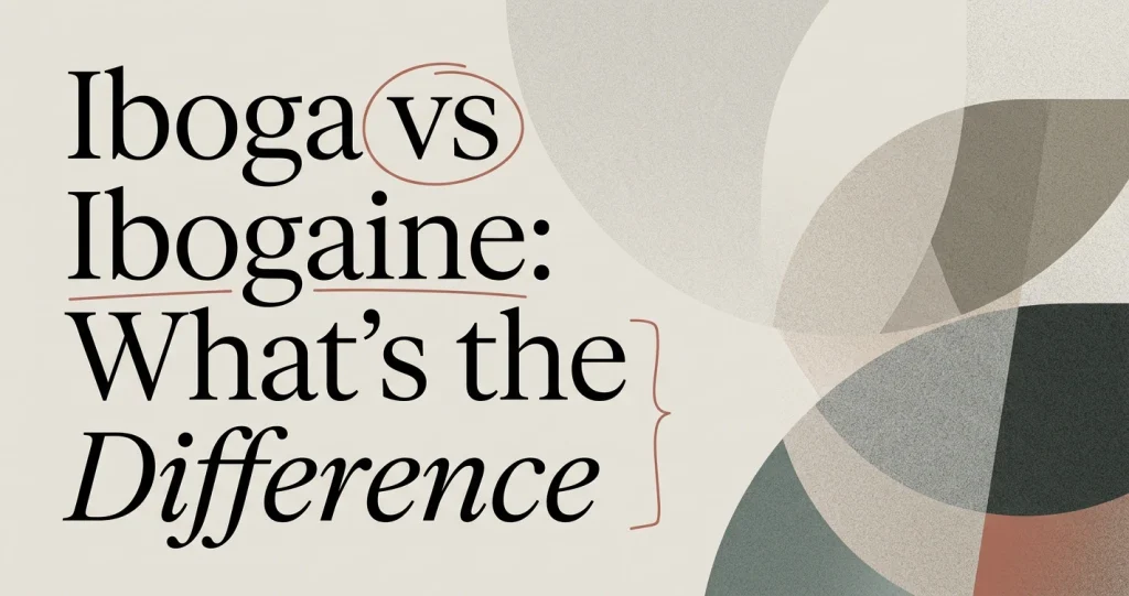 Iboga vs Ibogaine: What’s the Difference?